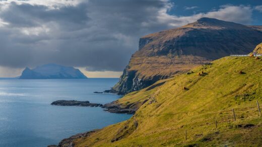 Fotó: Raul Kozenevski, Forrás: Pexels